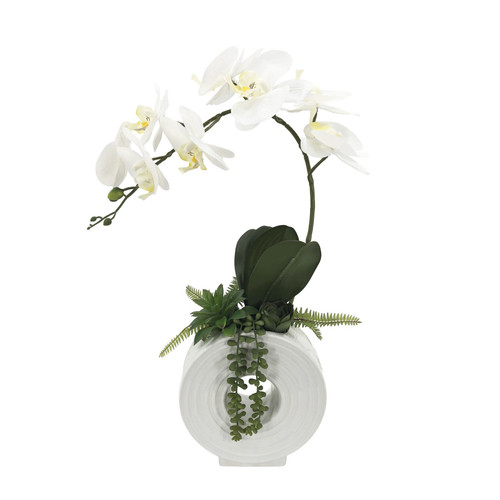 White Orchid Stem in White Ceramic Circle Pot (53cm H)