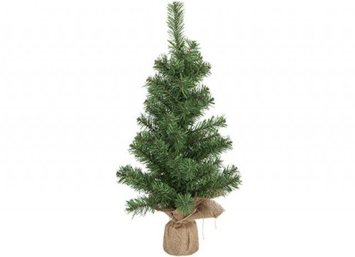 Norway Pine Tree (60cm)   