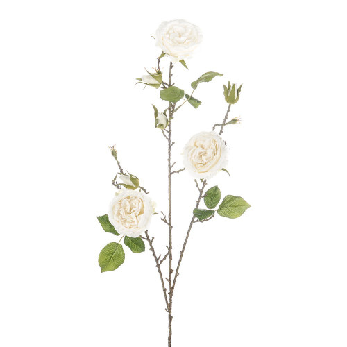 Cream Cabbage Rose Spray (91cm)