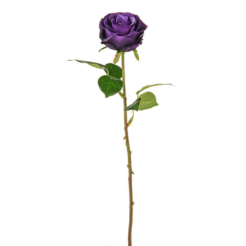 Purple Elsa Rosebud (44cm)
