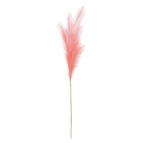 Luxury Pampas Blush Pink Luxury Pampas Blush Pink
