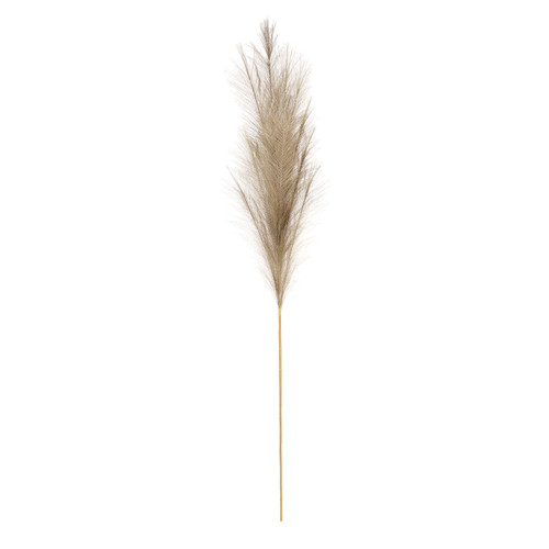 Luxury Pampas Sage Green Luxury Pampas Sage Green
