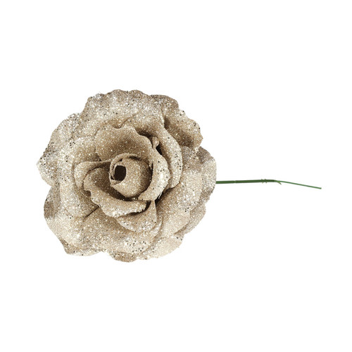 Champagne Rose with Glitter (Dia21cm)