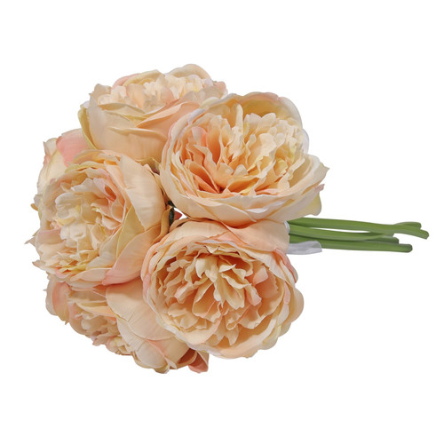Aquitaine Peony Bunch Tan 34cm (7 flowers) Aquitaine Peony Bunch Tan 34cm (7 flowers)