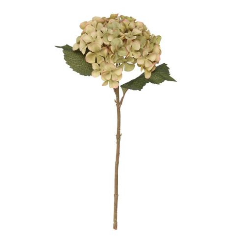 Balmoral Green Hydrangea (45cm) Balmoral Green Hydrangea (45cm)