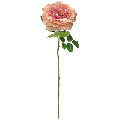 Balmoral Wild Pink Rose (65cm) Balmoral Wild Pink Rose (65cm)