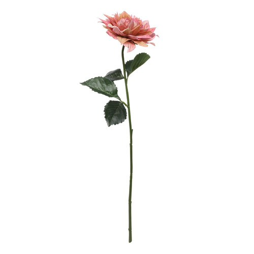 Glamis Single Dahlia with 2 Leaves Pink (61cm) Glamis Single Dahlia with 2 Leaves Pink (61cm)