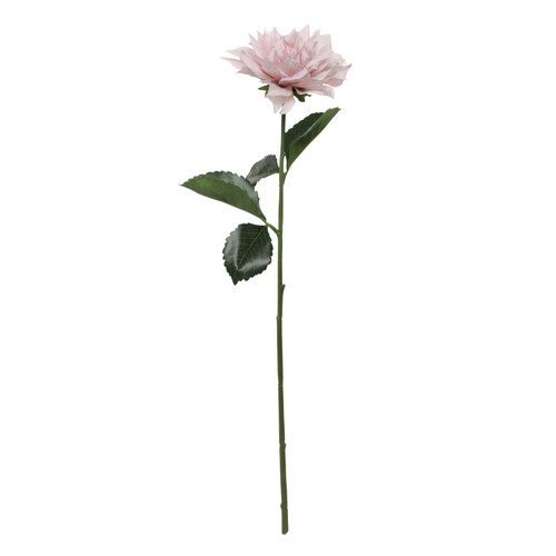 Glamis Single Dahlia with 2 Leaves Light Pink (61cm) Glamis Single Dahlia with 2 Leaves Light Pink (61cm)