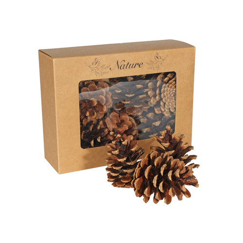Dried Pine Cones in Box (Pack of 9) Dried Pine Cones in Box (Pack of 9)