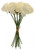 Tea Rose Bunch Cream 