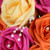 Chloe Personalised Posy (Large)