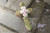 Oasis Foam Cross 18inch (2 pk)