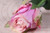 Small Rose Bud Pink (45.5cm) 