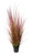 Potted Bronze Stipa Grass (100cm)