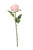 Pink Fantasia Rose (51cm)