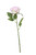Lavender Fantasia Rose (51cm)