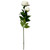 Peony White (78cm)