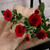 Camelot  Rose Spray Red 