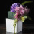 Oasis Ideal Floral Foam - Single Brick