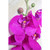 Cerise Pink Phalaenopsis Spray 34.5 inch Cerise Pink Phalaenopsis Spray 34.5 inch