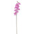 Pink Phalaenopsis Spray 34.5 inch Pink Phalaenopsis Spray 34.5 inch