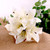 Cream Lily Bouquet With 6 Heads