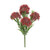 UV Exterior Everlast Skimmia Plant (24cm)