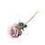 Essential Pale Lilac Garden Rose