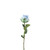 Essential Blue Garden Rose