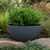 Ash Grey Valencia Planter