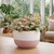 Hortus Pink & White Stoneware Pot (12cm H x 17cm Dia)
