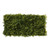 UV Botanica Moss Mat (50cm)