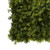 UV Botanica Moss Mat (50cm)