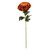 Chrysanthemum Dark Orange 