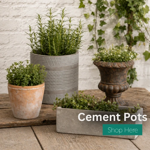 Cement Pots 