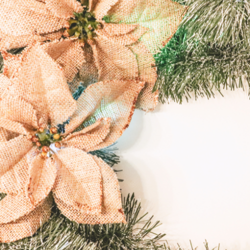 Christmas Flowers