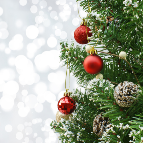 Trees & Decorations