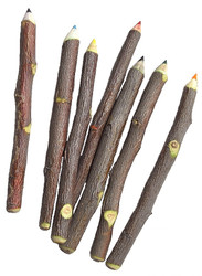 Twig Pencils