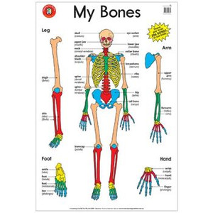 MY BONES POSTER