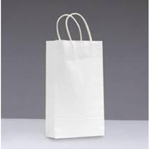 White Kraft Paper Carry Bags TPC Junior Size 290mm (H) x 200mm (W) + 100MM (G) with Paper Loop Handles (Carton of 250)