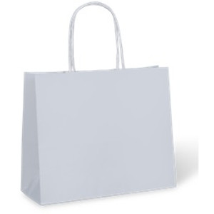 White Kraft Paper Carry Bags TPC Medium Size 320mm (W) x 420mm (L) + 110mm (G) with Paper Loop Handles (Carton of 500) (Pack of 250)