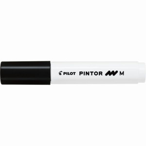 Pilot Pintor Paint Marker Medium Black