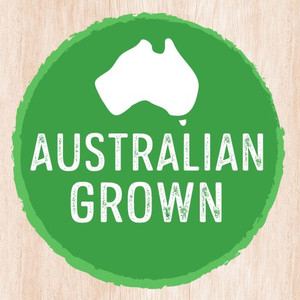 EDGELL SLICED GREEN BEANS 410GM (Carton of 12)