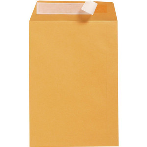 POCKET ENVELOPES GOLD KRAFT 235x120mm Zip Seal DLX (Box of 500)