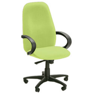 CARUSO 1000 MANAGER'S CHAIR Med. Back With Arms Grp. 1 Fabric