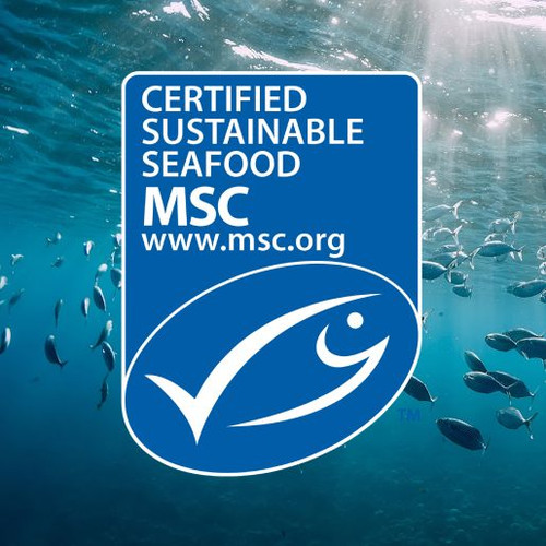 JOHN WEST PINK SALMON 105GM