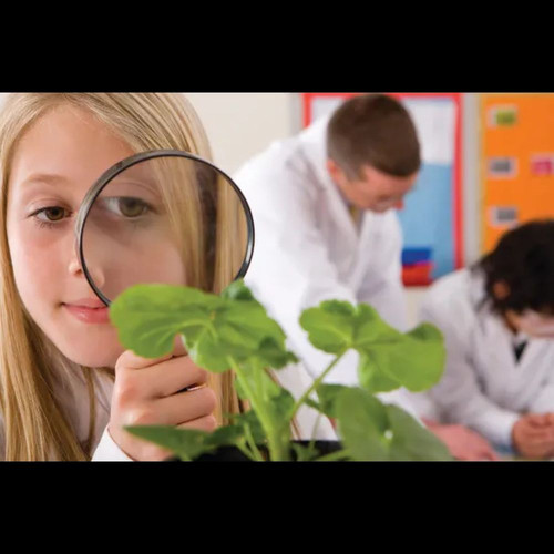 Hand Magnifiers - Pack of 12