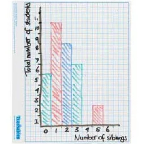 Grid Whiteboard 5&10mm Double Sided - Each
