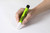ARTLINE GARDENERS PERMANENT MARKER WHITE (BX12)