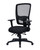Ergona Medium Back Mesh Task Chair - Black with Arms, Each